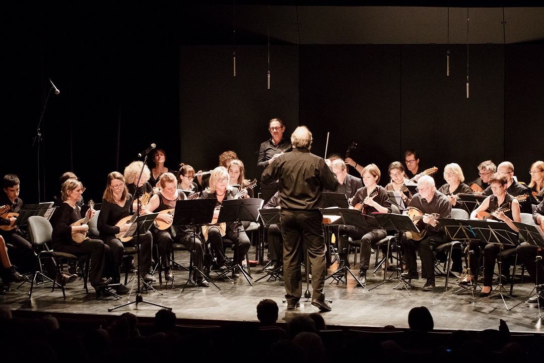 L'orchestre à plectre